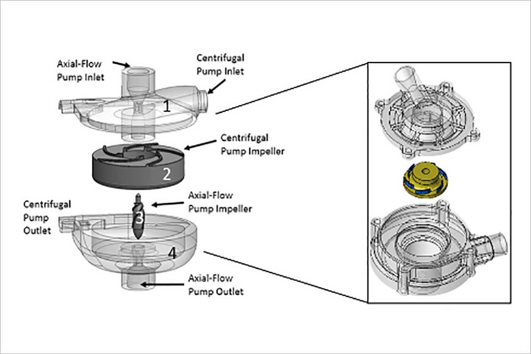 Centrifugal Blood Pump Diagram