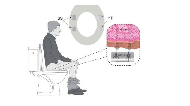 diagram of a person sitting on a toilet.