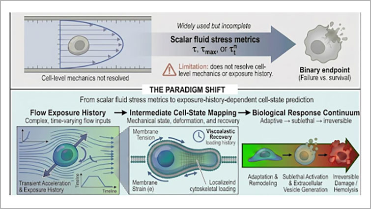 graphic relaying incomplete information on fluid stress metrics.