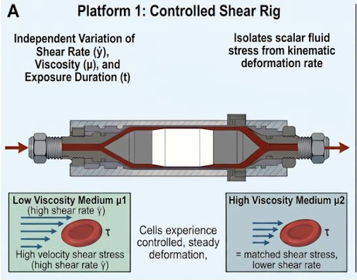 Shear Rig