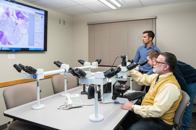 reseachers looking into microscopes with results showing on TV screen.