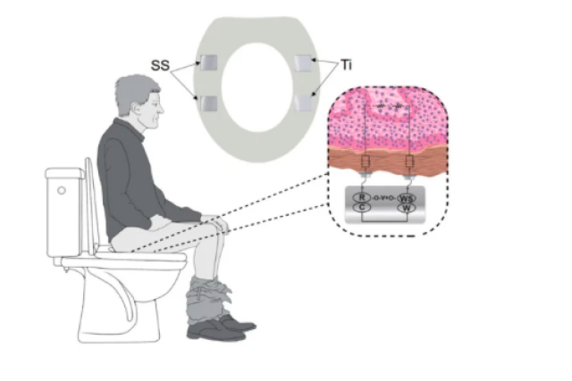 diagram of a person sitting on a toilet.