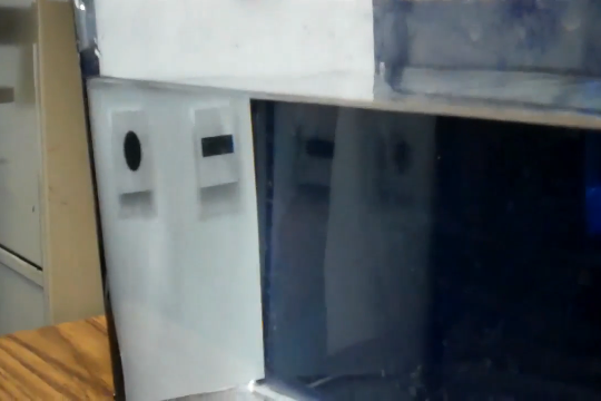 Goldfish training tank