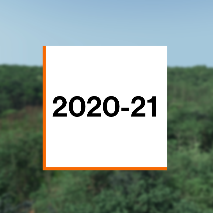Annual Report 2020-21 Cover Photo: A simulated scene of Harvard forest trees