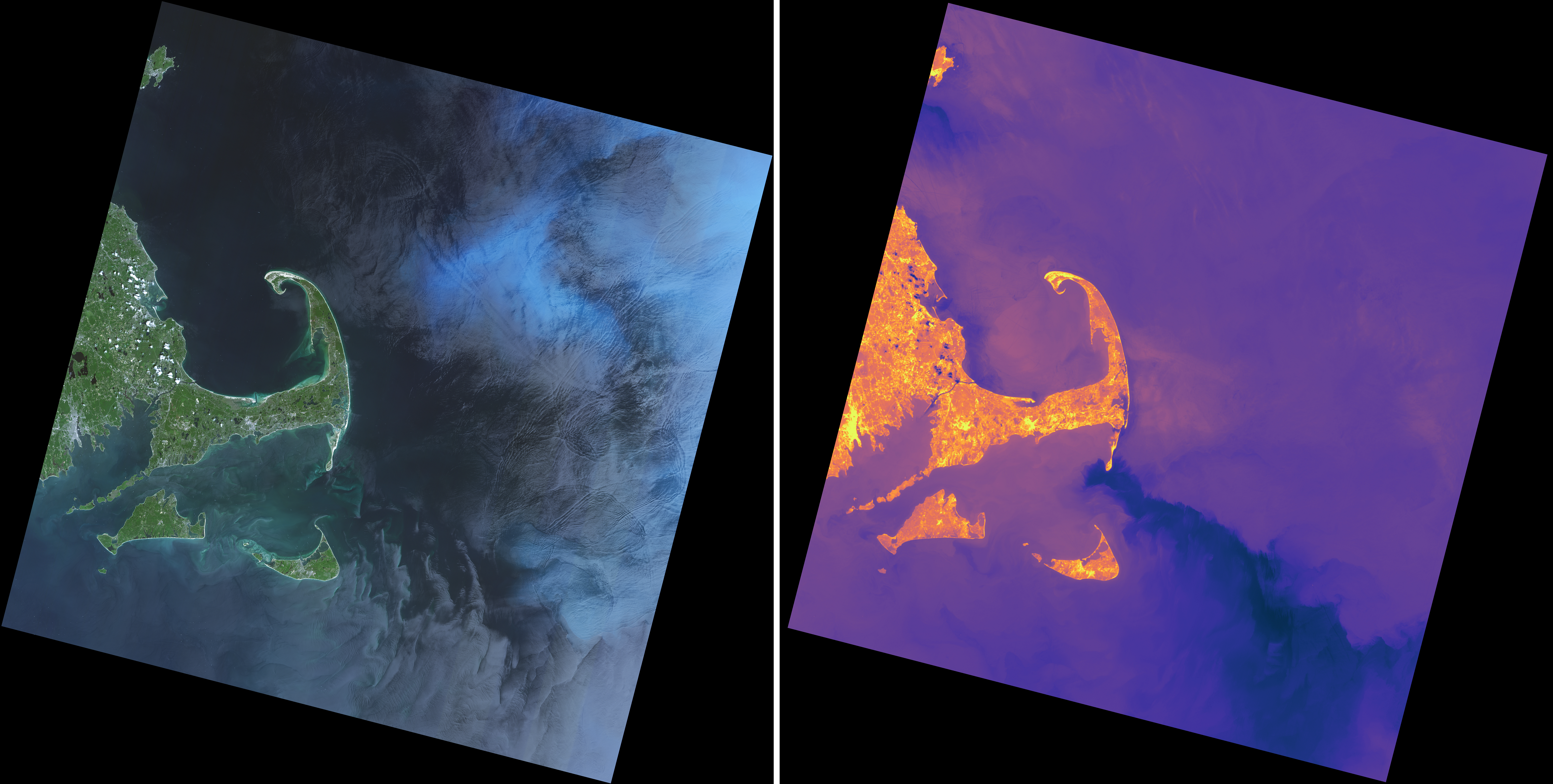 Images of a plankton bloom off the coast of Cape Cod, MA acquired by the Landsat 9 instruments, OLI-2 (left, in natural color) and TIRS-2 (right, in thermal false color). The contrast of the natural color image was enhanced to bring out details in the water. The false color thermal image is stretched between temperatures of 273K (purple) and 297K (yellow). Image width is 185 km with an image pixel resolution of 30 meters. North is straight up. Acquired on 2025-06-21.