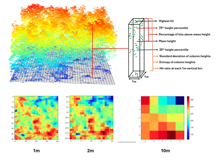 Illustration of the derivation of our raster-based 3D CSC metrics. Eight out of nine metrics we derived are raster-based. Top: A column from the point cloud of a forest plot gridded at 1m2 resolution. Portions of the canopy described by the computed raster values are labelled along with the corresponding metric in parenthesis. Bottom: Raster-based metrics were computed from 1m up to 10m resolution in each 40x40m plot to assess scale-sensitivity.