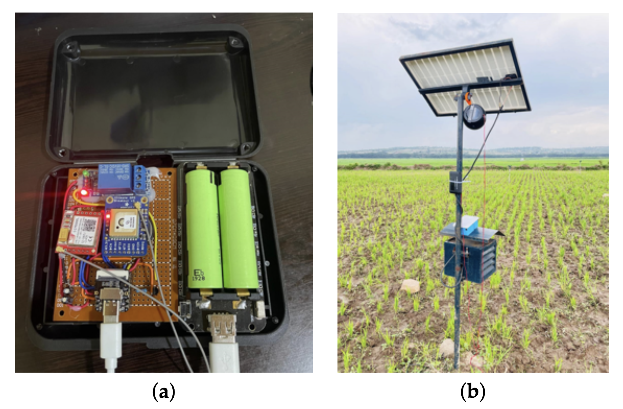 (a) The prototype setup on the PCB board minus speaker. (b) Prototype deployment in the field with solar power to recharge the battery.