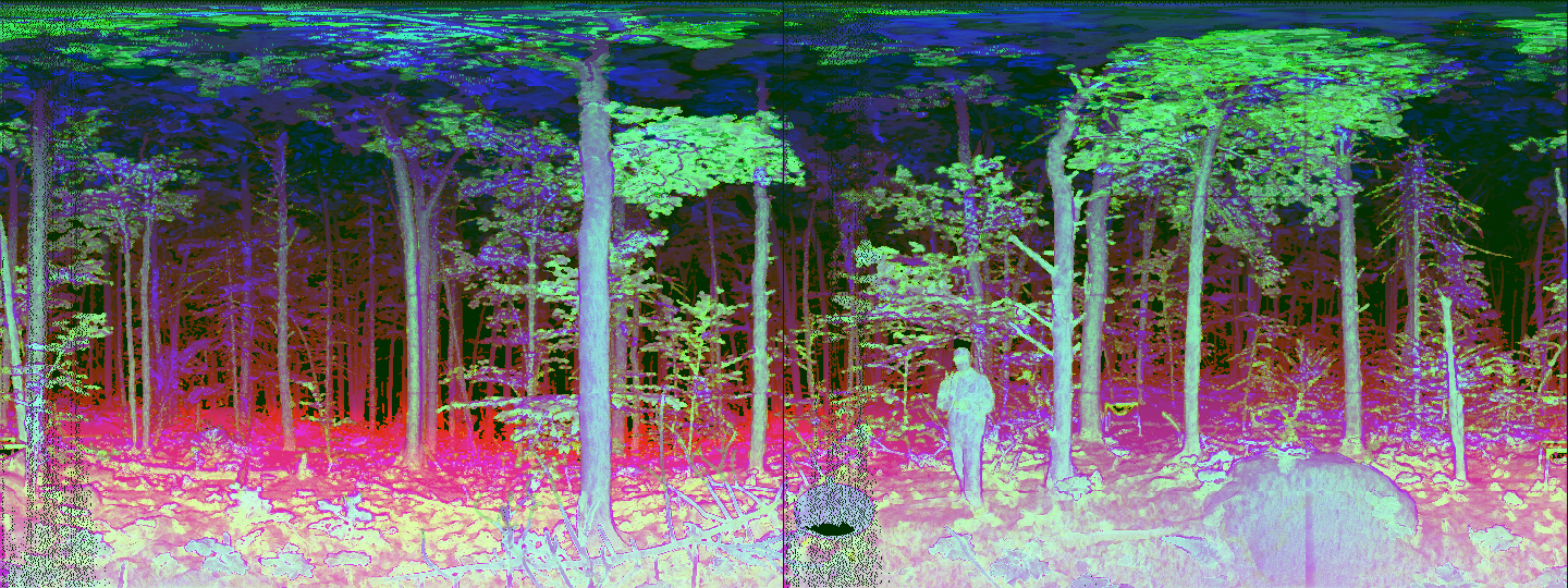 Spherical projection of a mangrove stand showing a PCA composite of multiple feature channels: intensity, range, height (Z), curvature, anisotropy, planarity, and normal-based pseudo-coloring.