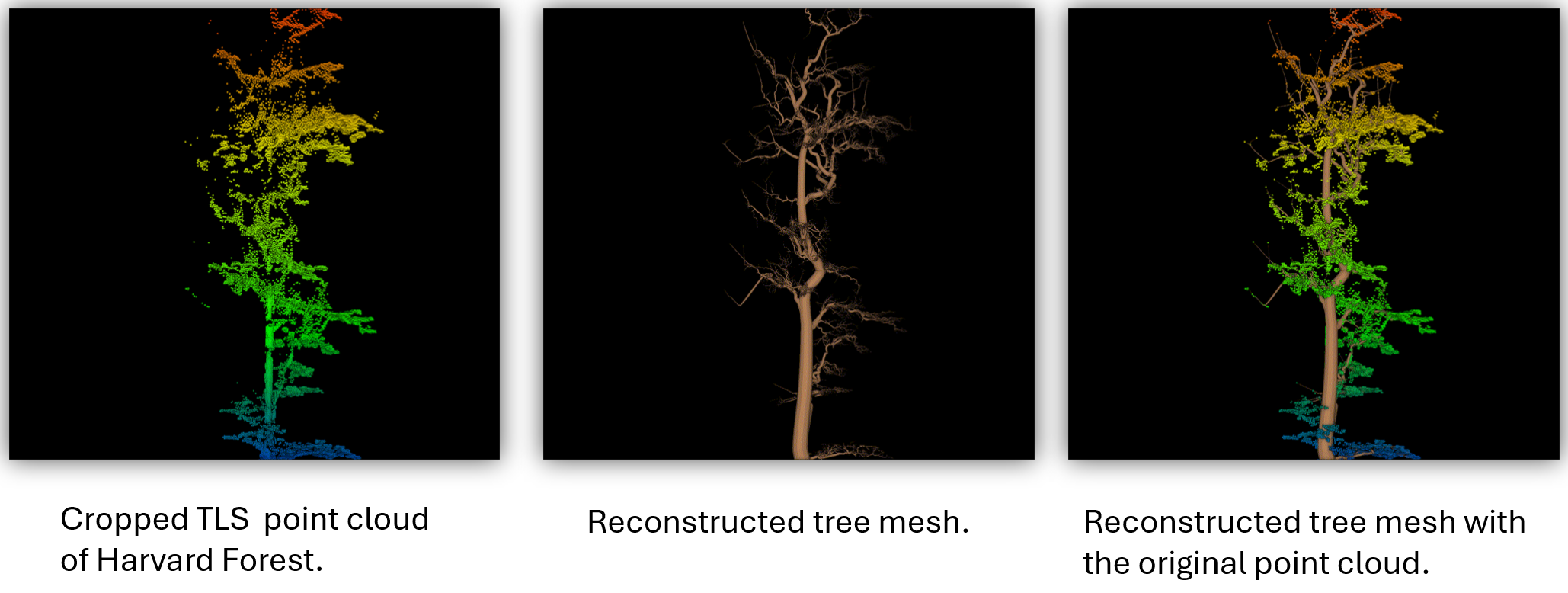 Single-tree mesh reconstruction from TLS point clouds using AdTree.