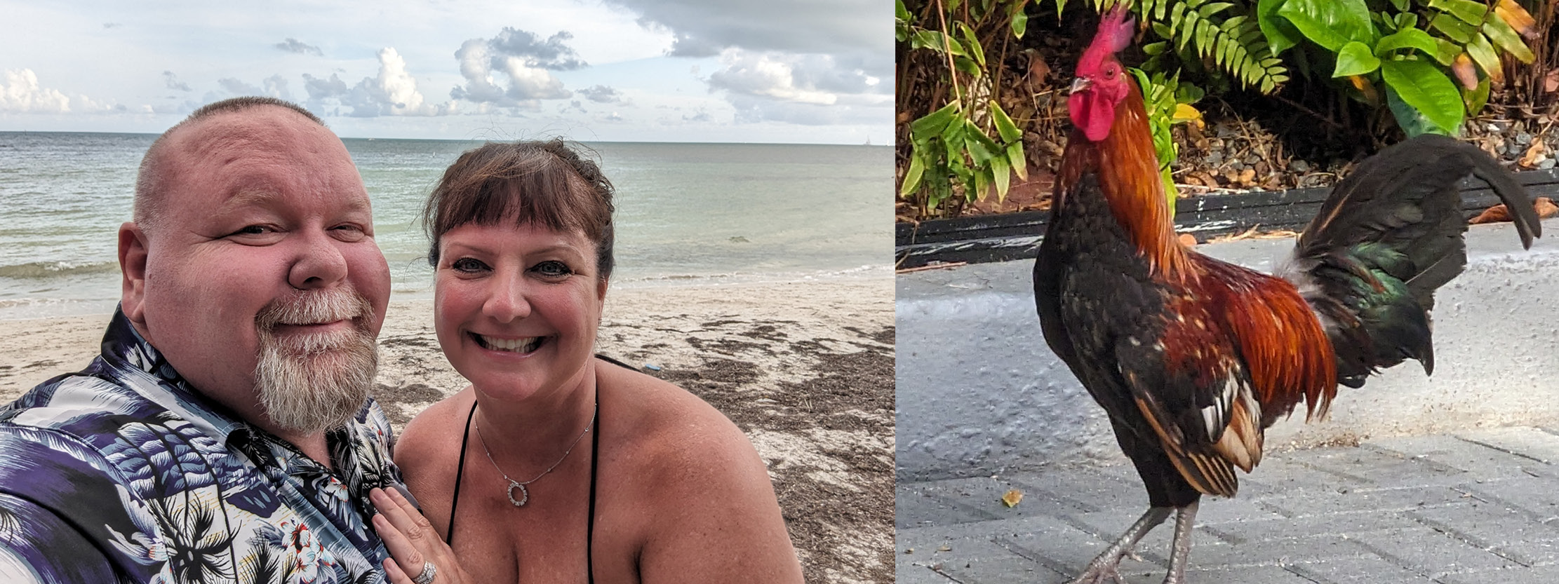 Left: photo of man and woman on beach; right: rooster
