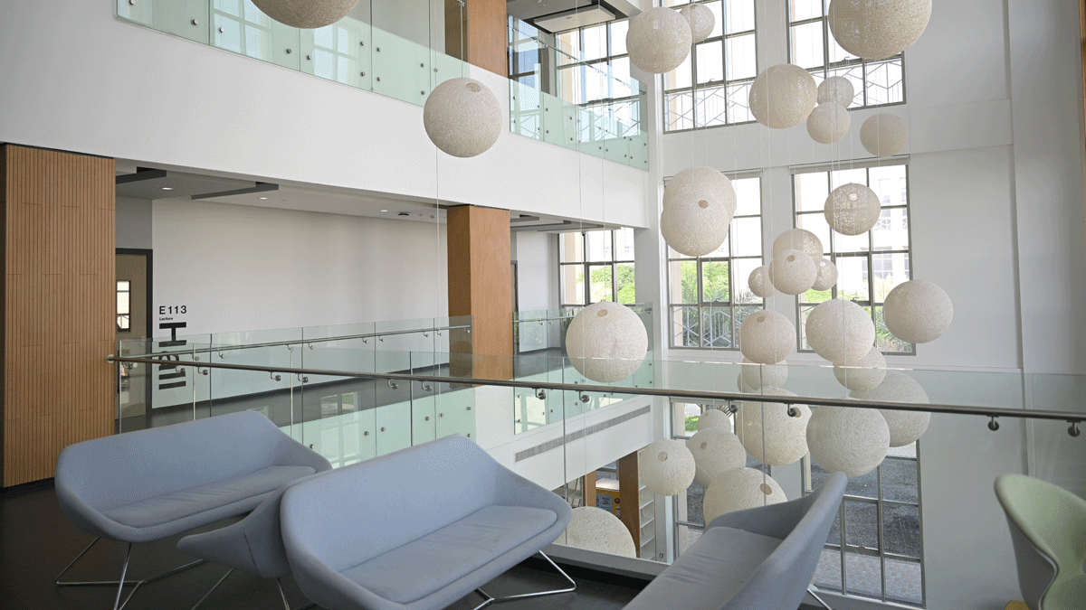 Light bulbs hanging from the ceiling