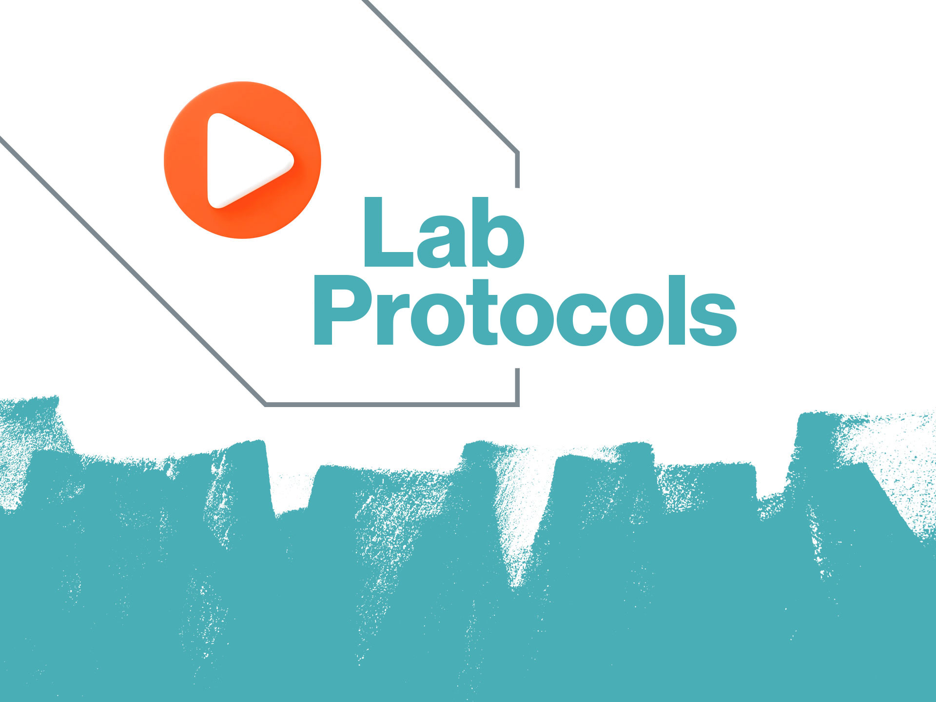 Lab Protocols
