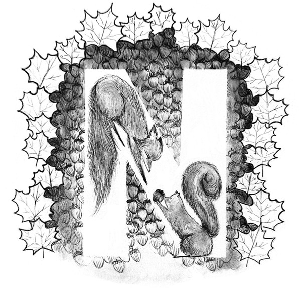 Textures and Letters