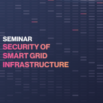 Smart Grids Infrastructure
