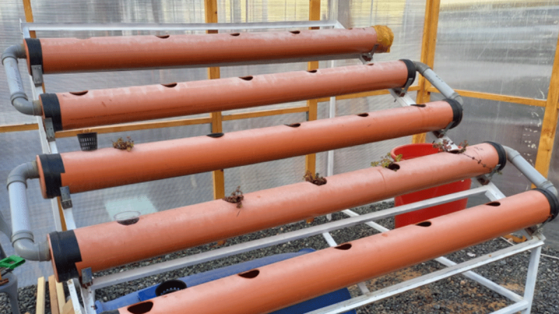 Smart Farming by Fully Automated Hydroponic System