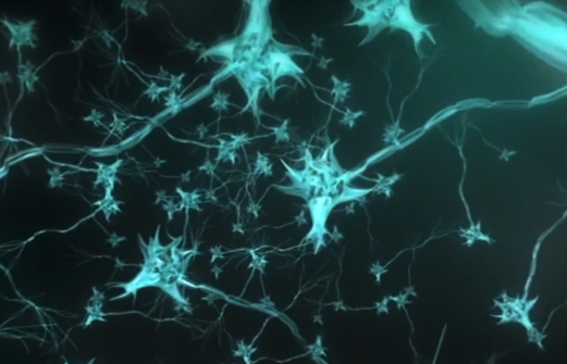 Photo of Synapses