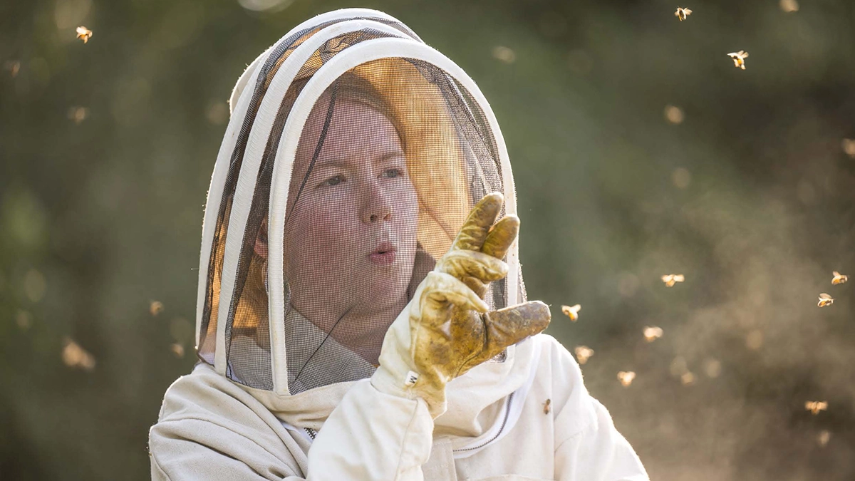 Person wearing a beekeeping suit and protective veil examining bees outdoors, surrounded by bees in flight.