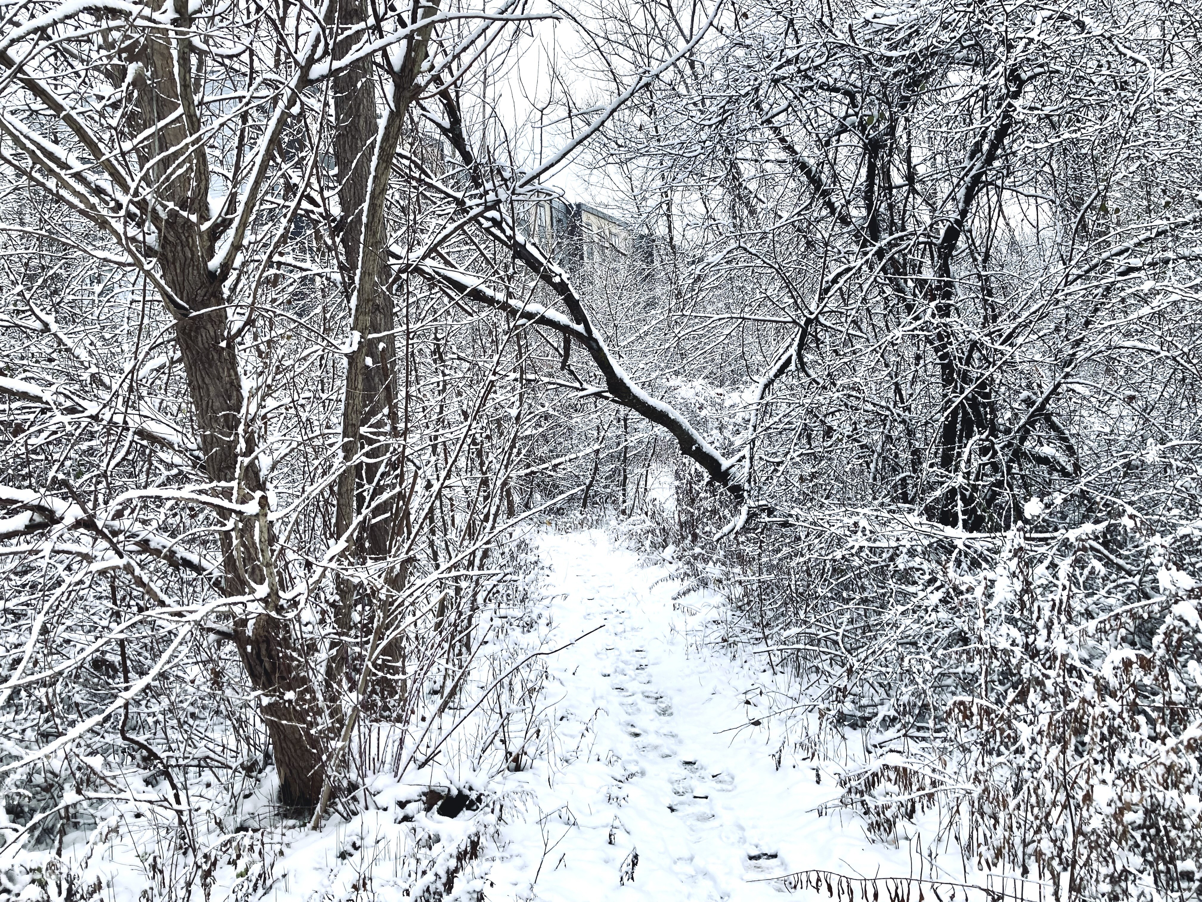 New graduate students sitting on a circular table with one student holding up and showing a gray RIT T-shirt while others smile at the camera