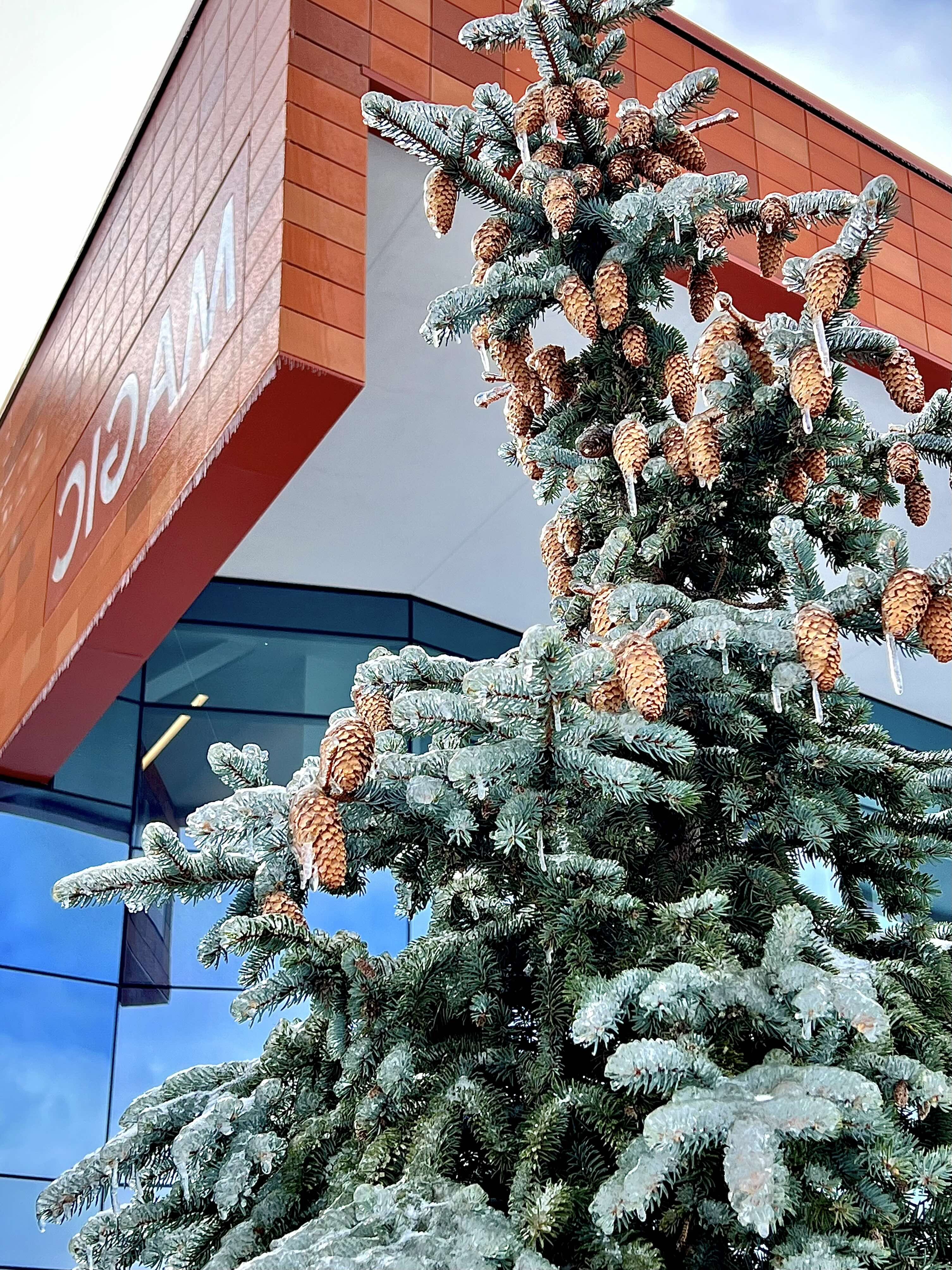New graduate students sitting on a circular table with one student holding up and showing a gray RIT T-shirt while others smile at the camera