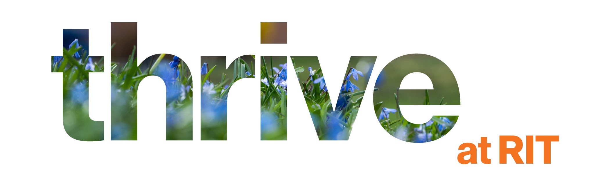 “The word ‘thrive’ displayed in large lowercase letters filled with a photo of green grass and small blue flowers, with ‘at RIT’ in orange text to the right.”