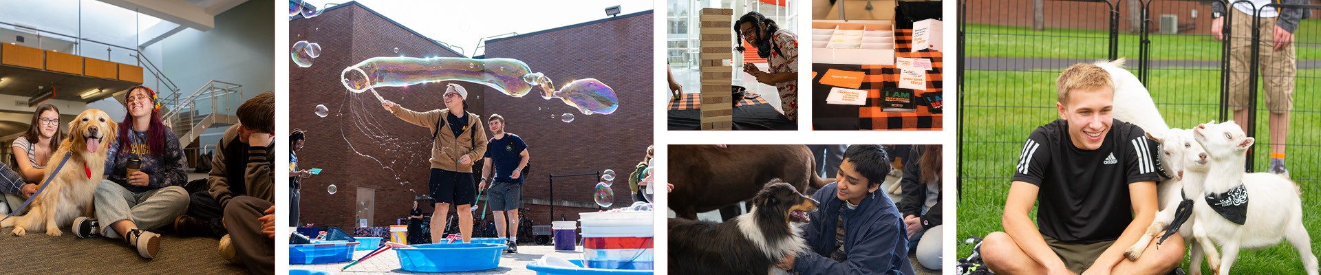 A five-photo collage showing students interacting with dogs, a pony, and a goat; a student making bubbles; and students at an event.