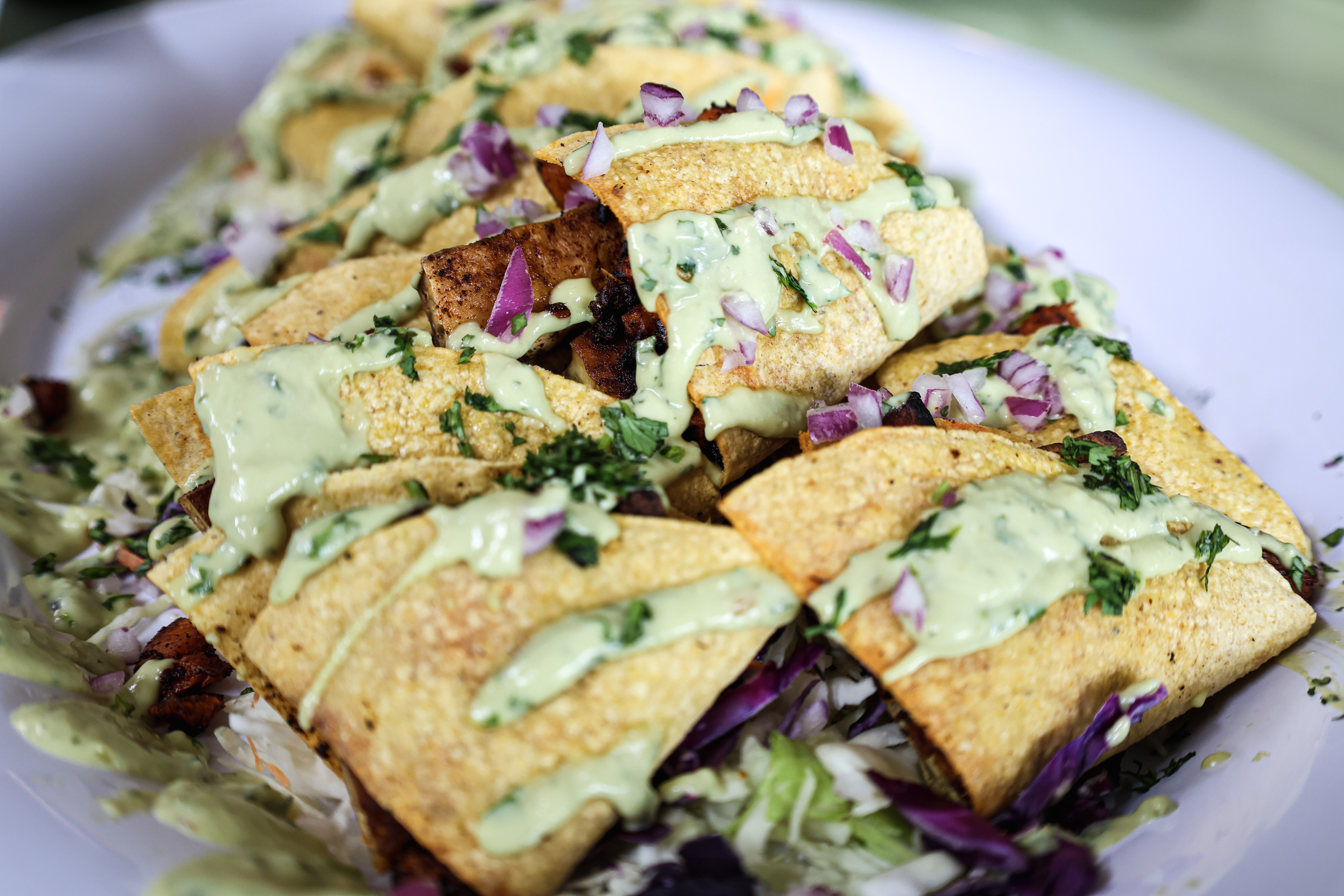 Humane Society plant-based training, vegan entree