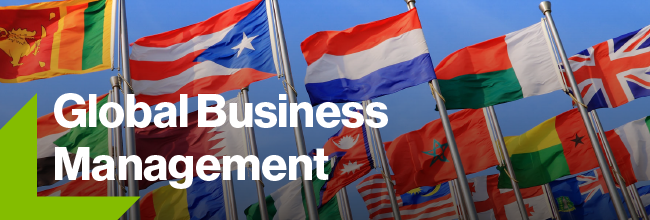 Photo of flags with global business management text