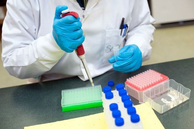 A student conducts biological research in a lab at RIT’s College of Science. The college is launching a new master’s degree in biological science that gives students hands-on experience.