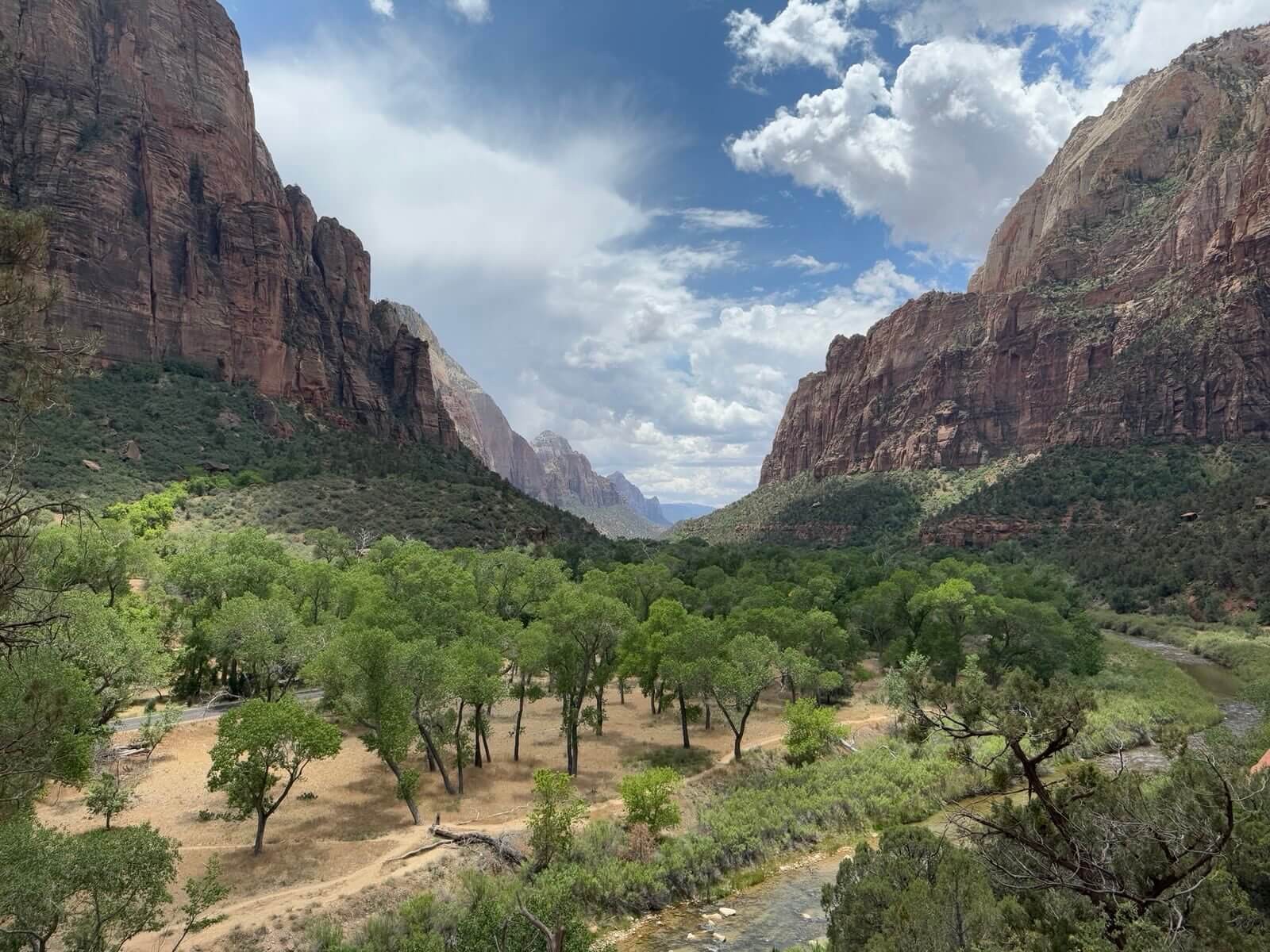 Red sandstone cliffs surrounding a valley with trees in Zion National Park.