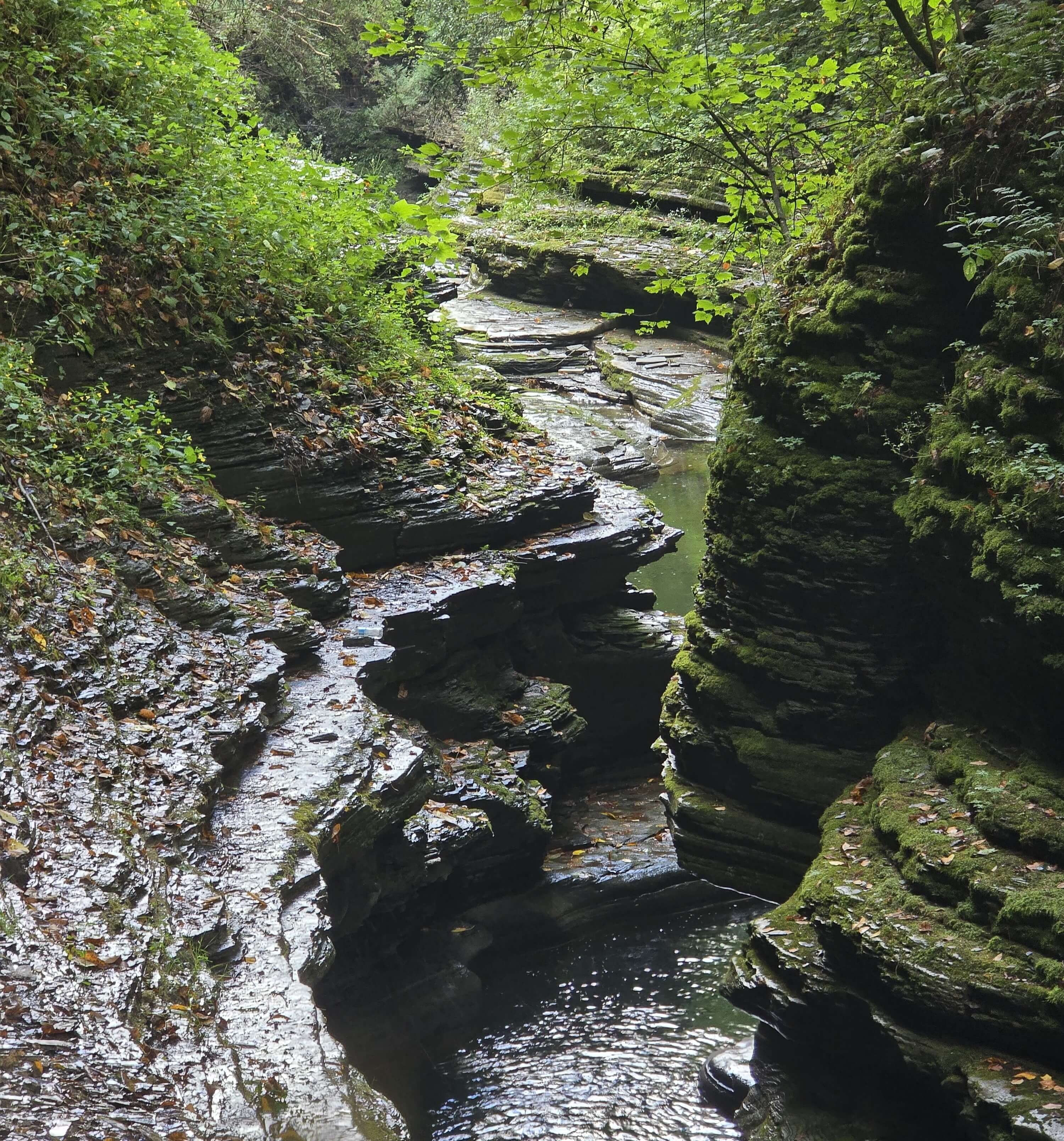 Rock gorge with a shallow stream and moss-covered rock walls.