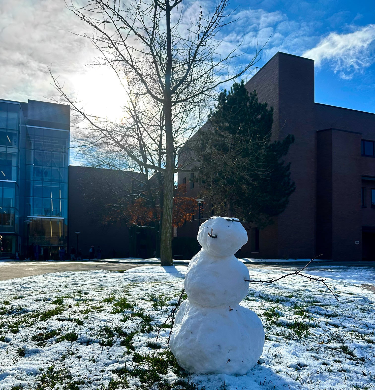 A cheerful snowman stands against a crisp winter backdrop, basking under a bright sky.
