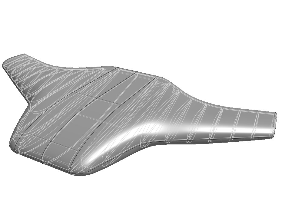 Manta ray perspective view