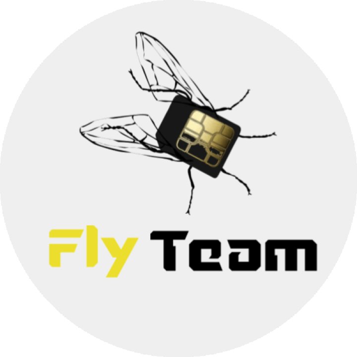 Fly Team Logo