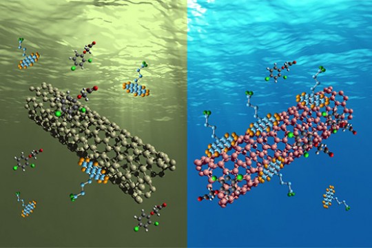 Two carbon chain diagrams under water