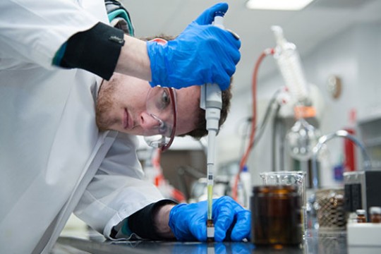 Scientist working in laboratory 