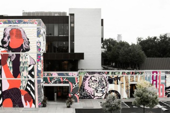 A photo of the exterior of an unidentified building, likely a college campus. The building is covered in mural art featuring a pop-art style female figure on the left, and a pop-art style tiger on the right. There are various abstract designs in cool tones and pinks in the background of the mural.