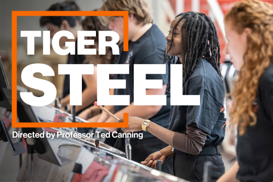 Tiger Steel