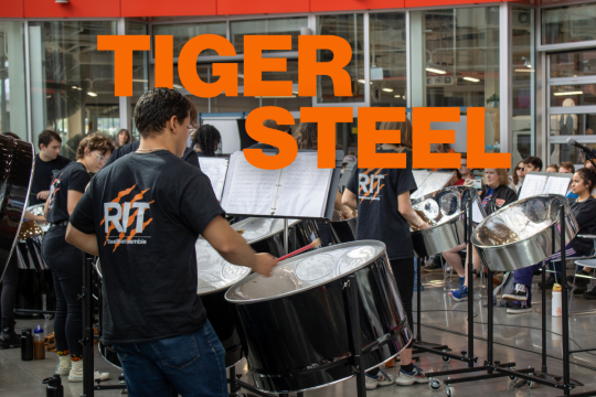 Tiger Steel