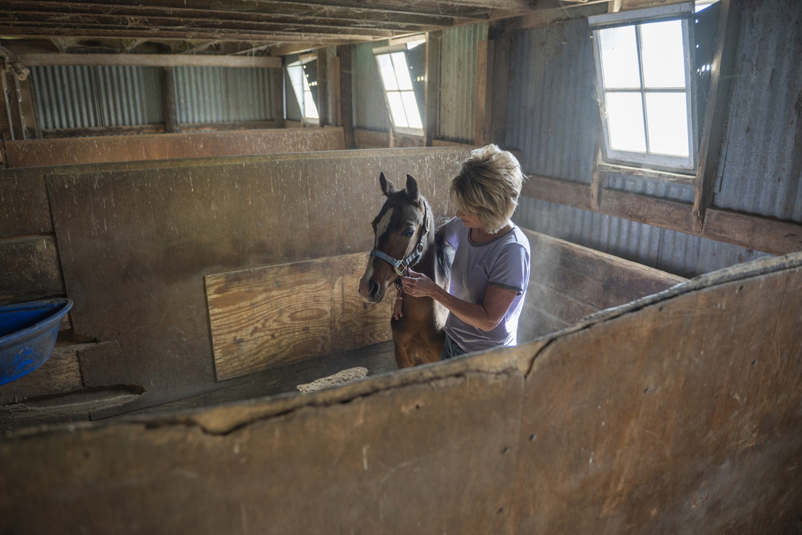 A woman pets a horse in a stable.