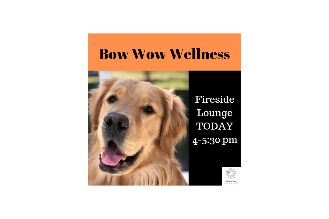 Bow Wow Wellness