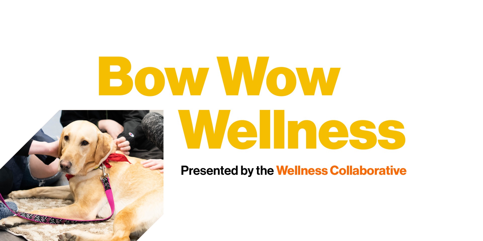 Bow Wow Wellness Presented by the Wellness Collaborative