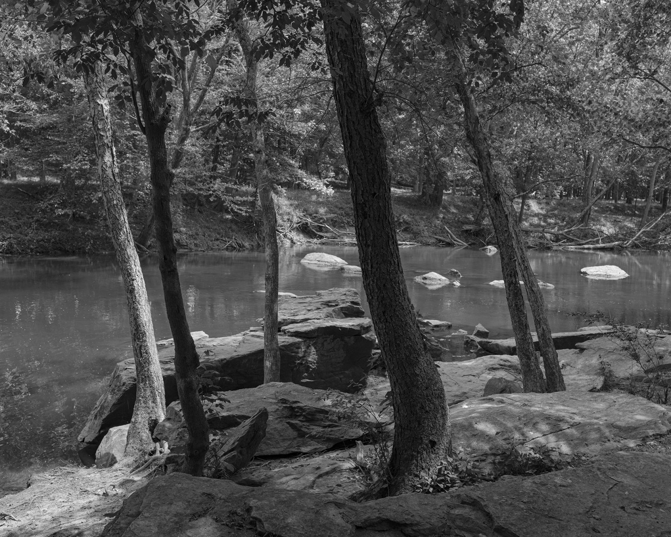 A grayscale photo of a river cutting through trees.