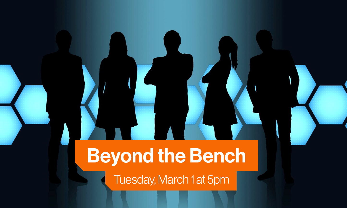 beyond the bench virtual panel