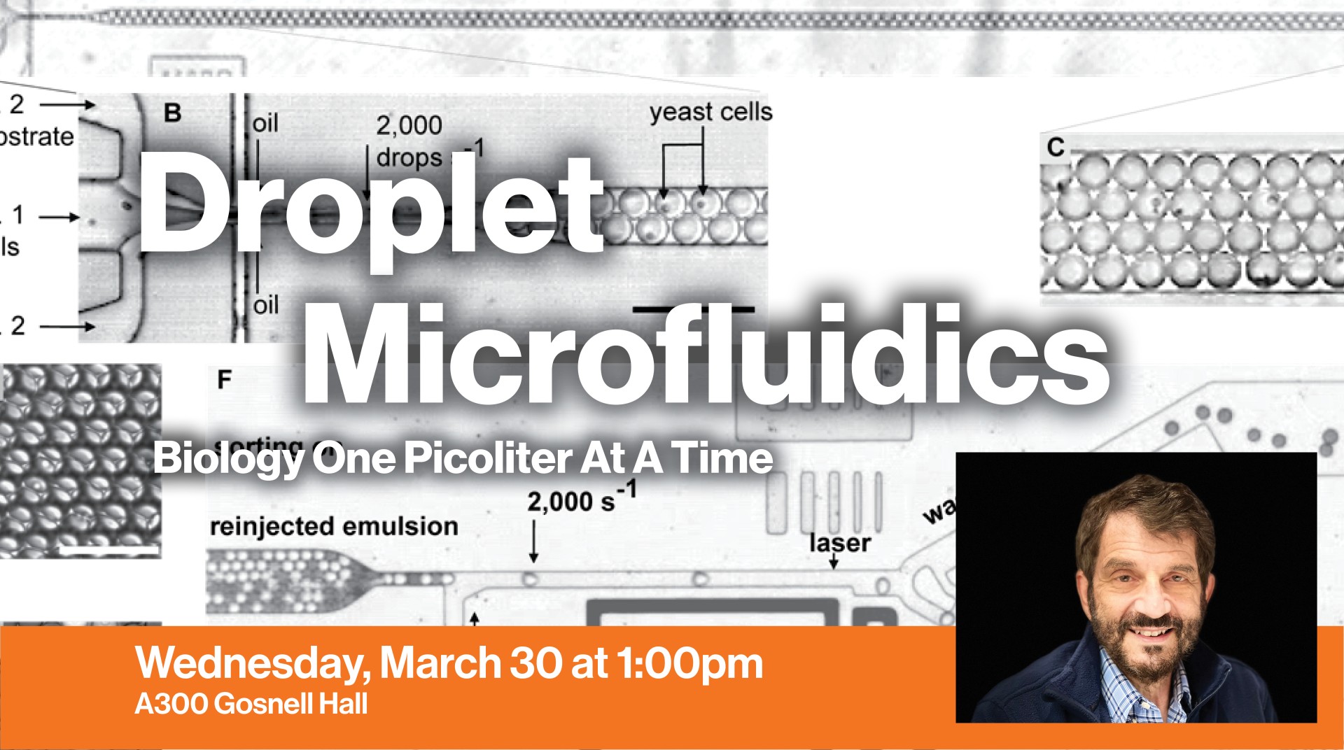 distinguished speaker david weitz