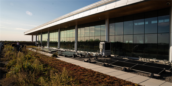 Rooftop Restoration PIcture