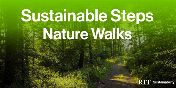 Sustainable Steps Image