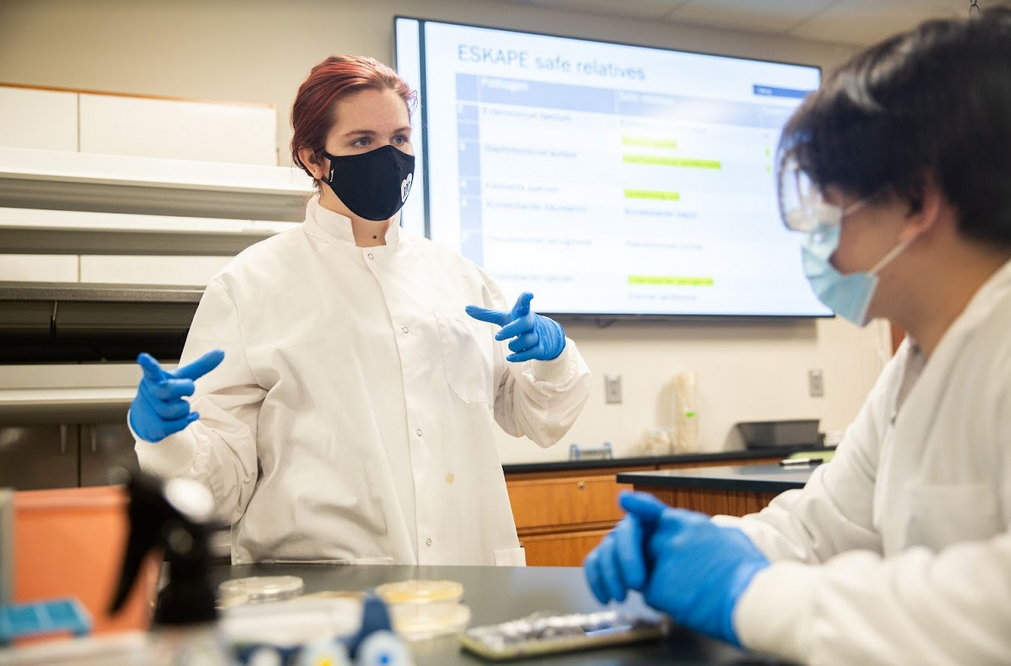 LAs support student learning by facilitating peer-peer discussion