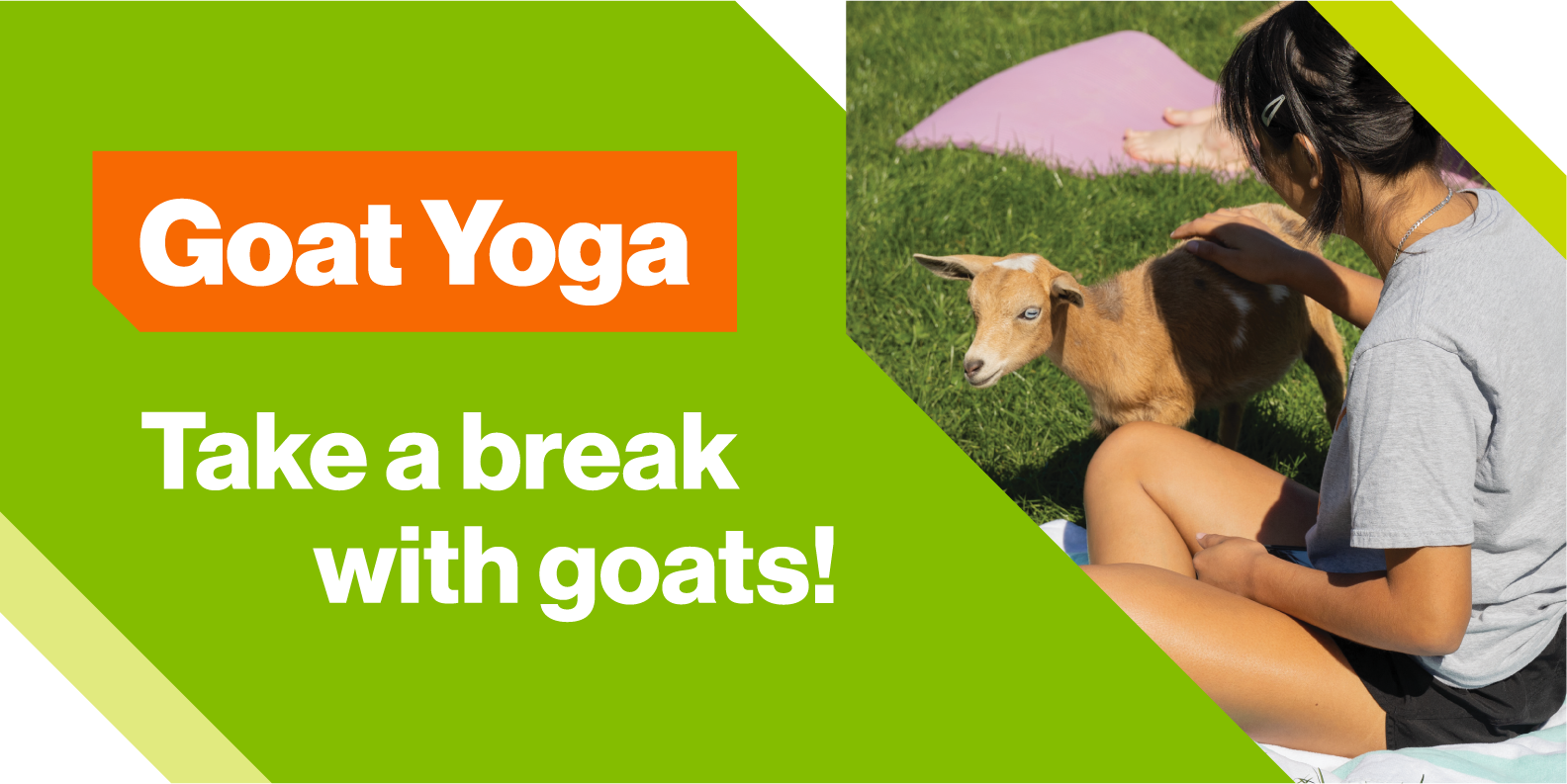 Goat Yoga