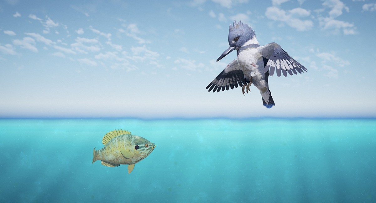 An animated fish and bird look at each other.