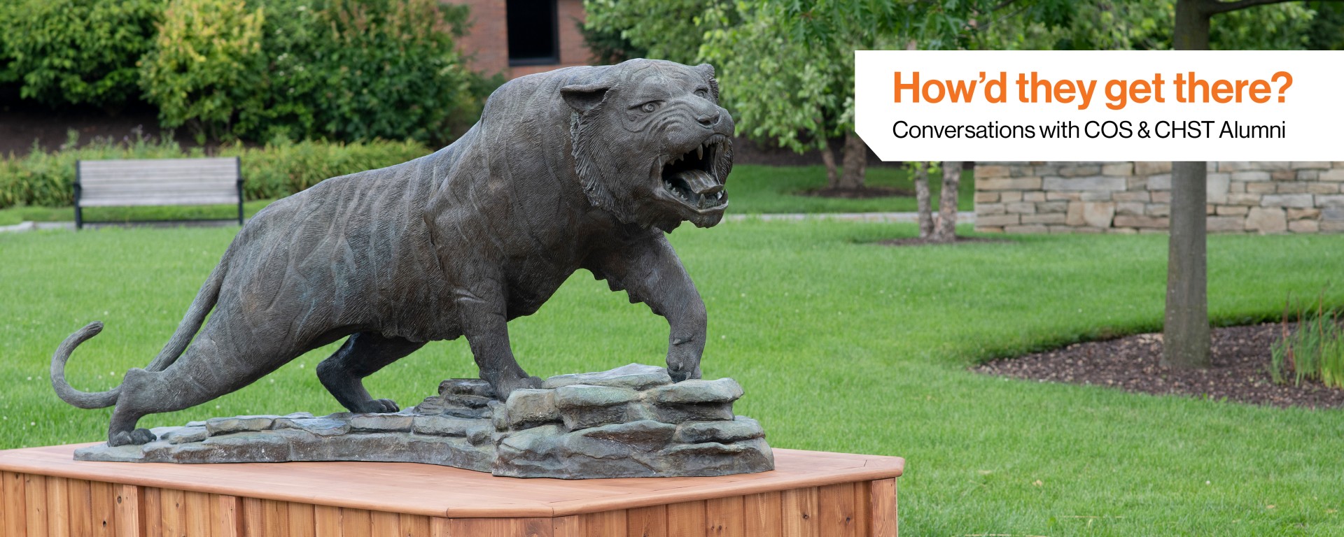 howd they get there? cos/chst alumni conversations sesquile ramone